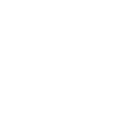 Dove Icon